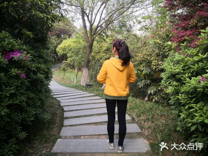 艾溪湖湿地公园图片