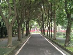 -四川大学(望江校区)