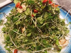 -华盛园卷子王农家菜水库鱼