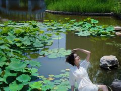 -西海子公园