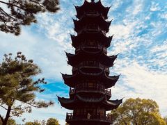 -龙华素斋(龙华路店)