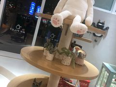 -飞行喵MR PILOT|猫舍·猫咖(静安大融城店)