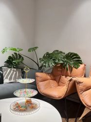 -防空洞舞蹈·瑜伽