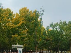 -东郊湿地公园
