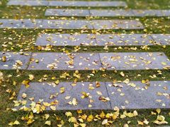 -重庆市江北嘴中央商务区中央公园