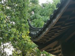 -杭州半山国家森林公园