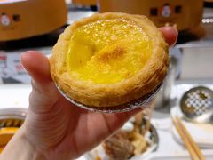 -龍歌自助小火锅(李沧顺和汇店)