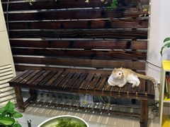 -清岚画室少儿美术培训(平江校区)