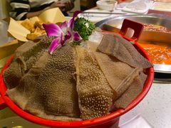 -大龙燚火锅