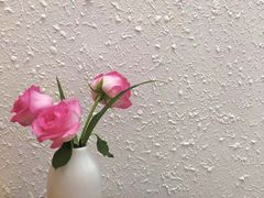 -ABCD咖啡屋(妇幼店)