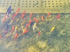 -未来科技城食堂(海外人才大楼店)