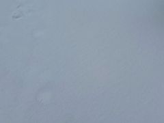 -百味地锅鸡(铜山路店)