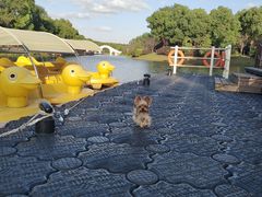 -上海海湾国家森林公园