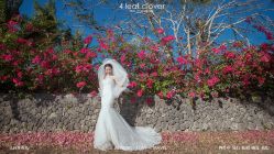 -四叶草环球旅拍