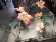 -鸽子侯·家宴·平价海鲜(市图书馆店)