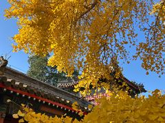 -承恩寺