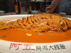 -阿五黄河大鲤鱼(英协路店)