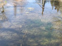 -白水寺森林公园