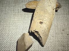 -王府井古人类文化遗址博物馆