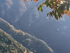 -东天目山风景区