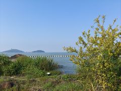 -上海市保健医疗中心