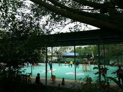 -广东茂名森林公园