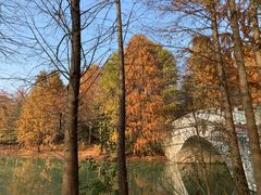 -上海海湾国家森林公园