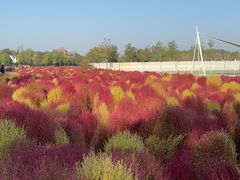 -天津东丽湖风景区