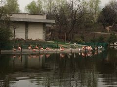 iphone_upload_pic-西安秦岭野生动物园