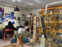 -平行世界·猫咖(首经贸店)