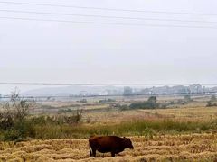 -井冈山风景名胜区