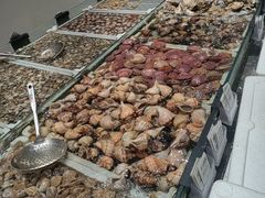 -映像威海·海鲜味道(经区店)