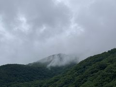 -牛背梁国家森林公园