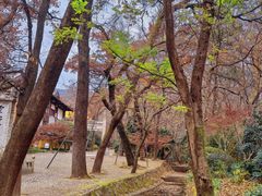 -灵谷景区