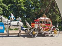 -南戴河国际娱乐中心