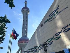 -上海海洋水族馆