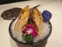 -海月轩海鲜豆捞(紫金塔店)