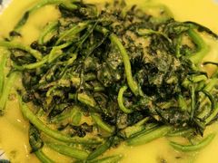 玉米浆煮茼蒿-沙龙酒家