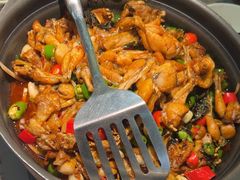 -蛙小侠(古镇大信新都汇店)