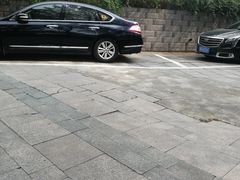 -长广溪湿地公园