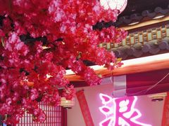 -探花·意境江南菜·唐伯虎文化体验店·松鼠桂鱼(观前店)