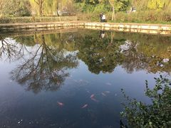 -西湖外事游船(花港观鱼码头)