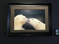 -罗红摄影艺术馆