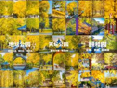 -颐和园