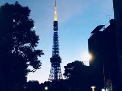 -东京塔海贼王主题公园