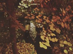 -哈哈曲艺社(西门闲亭店)