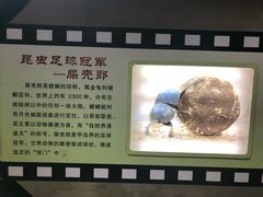 -上海昆虫博物馆