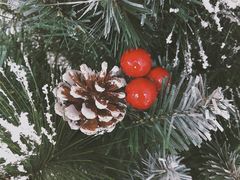 -喜茶(永旺梦乐城店)