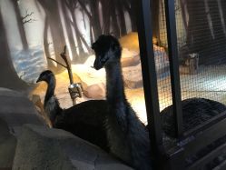 -酷嗒动物文化乐园(cutezoo西溪乐天城店)