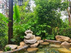 -天目湖涵田半山温泉